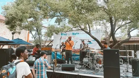 Blue Note Jazz Festival — Napa scene