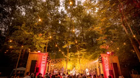 Firefly festival scene