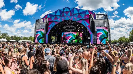 Firefly festival scene