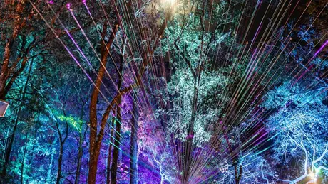 Hulaween scene