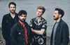 Foals