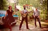 The Reverend Peyton's Big Damn Band