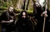 Wolves in the Throne Room